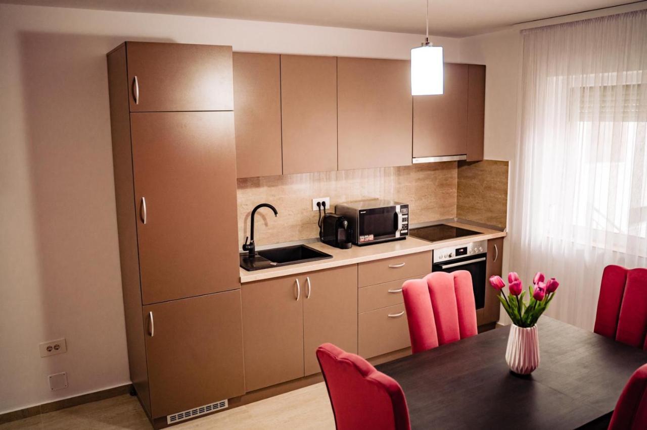 Apartment Gabriela'S Home オラデア エクステリア 写真